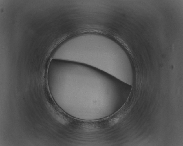 X0000081580490200701151004