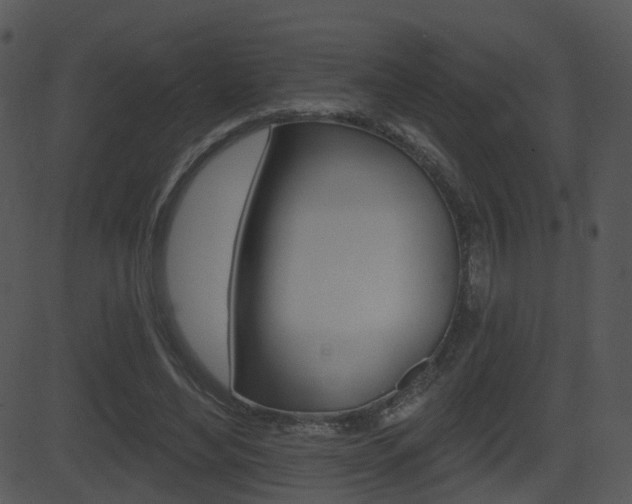 X0000081580492200701151004