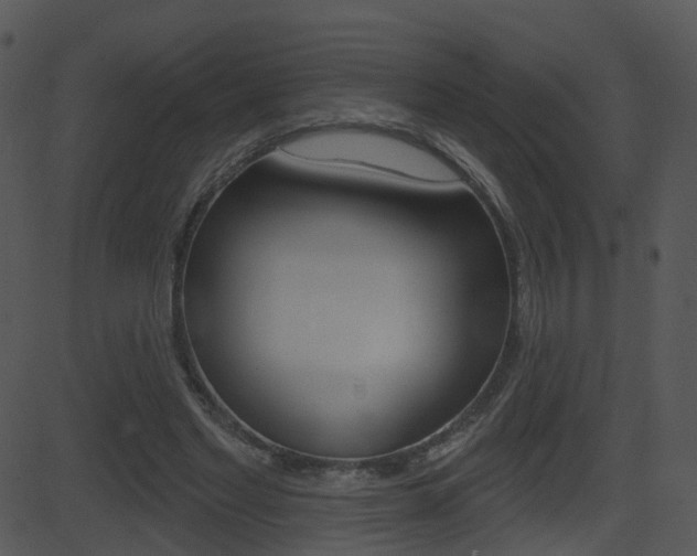 X0000081580493200701151004