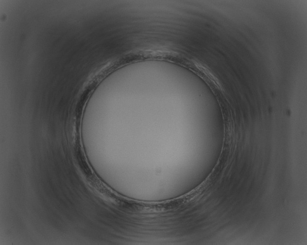 X0000081580494200701151004