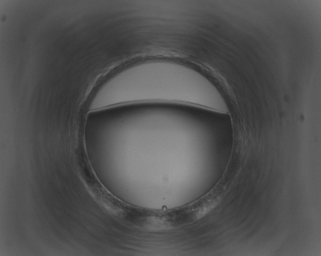 X0000081580496200701151004