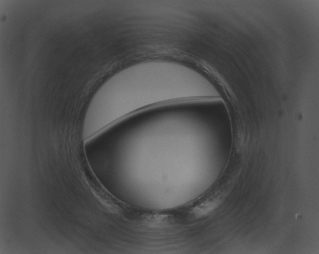 X0000081580497200701151004