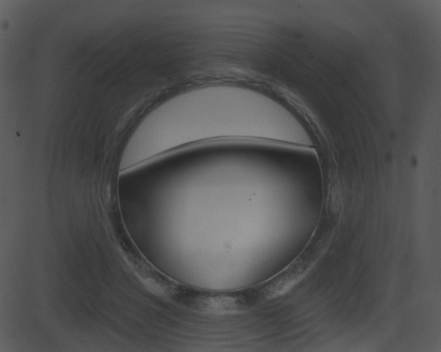 X0000081580501200701151004