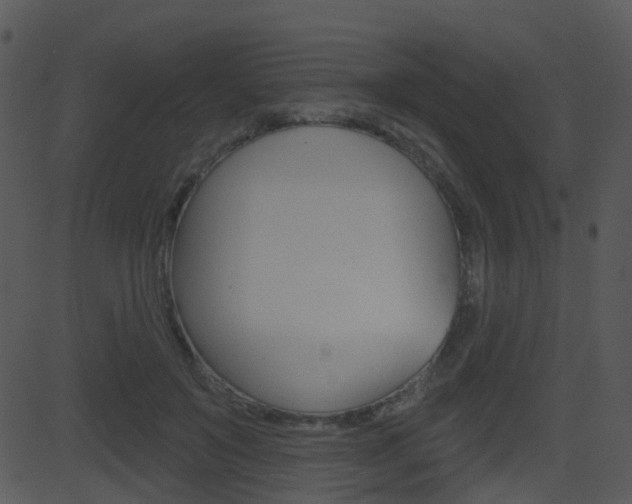 X0000081580503200701151004