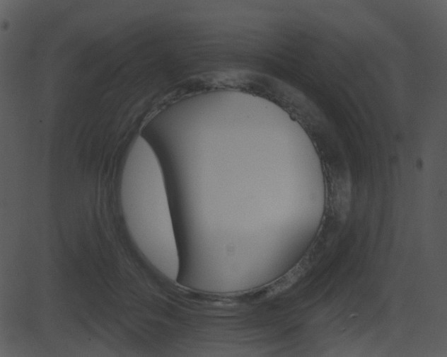 X0000081580506200701151004