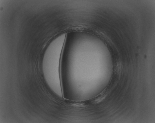 X0000081580508200701151004