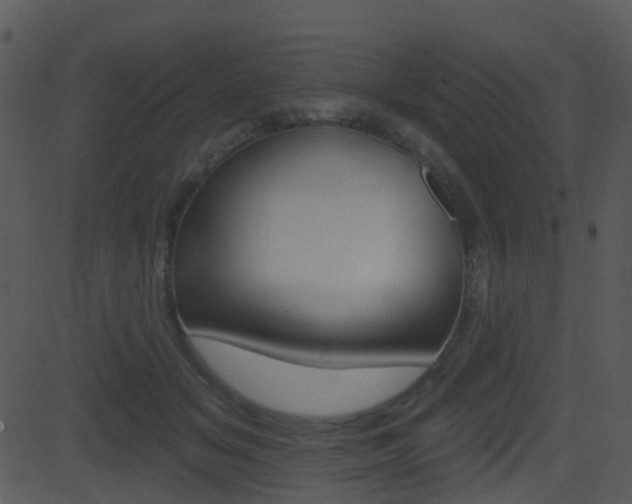 X0000081580509200701151004