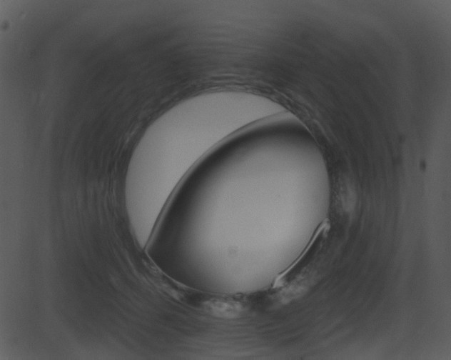 X0000081580512200701151004