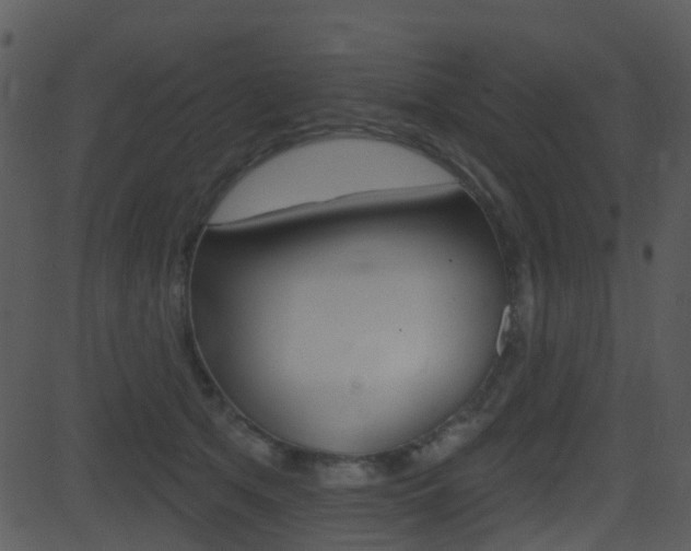 X0000081580513200701151004