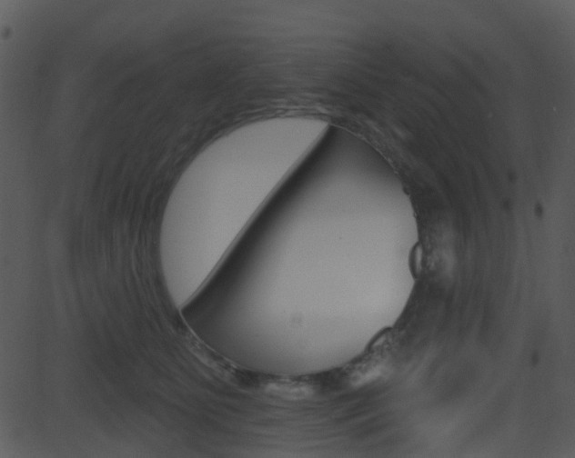 X0000081580515200701151004
