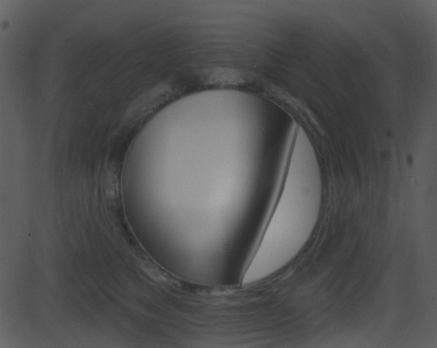 X0000081580517200701151004