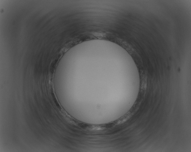 X0000081580518200701151004