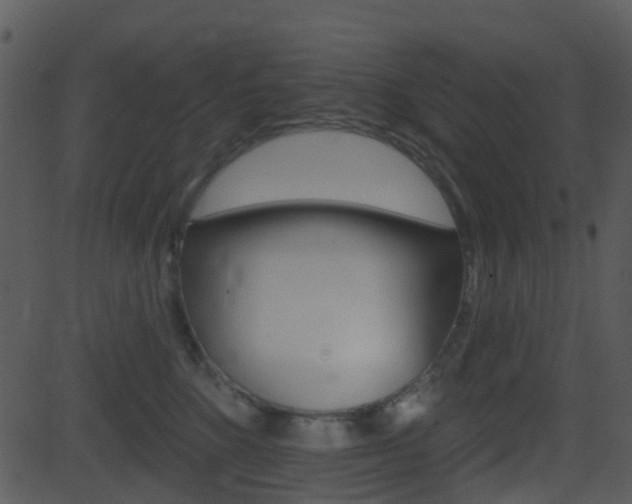 X0000081580520200701151004
