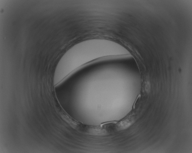 X0000081580521200701151004