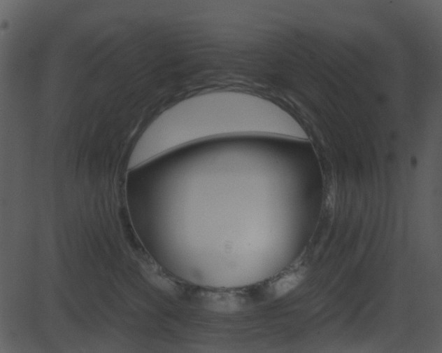 X0000081580524200701151004