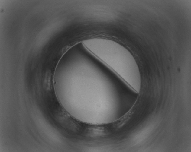 X0000081580525200701151004