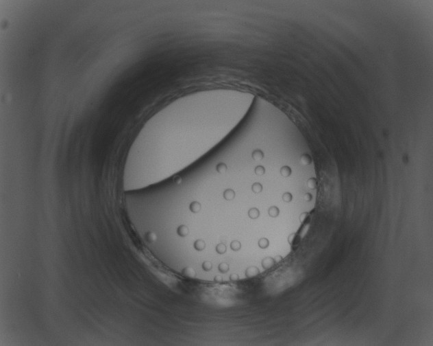 X0000081580527200701151004