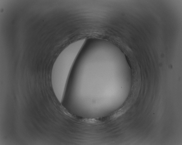 X0000081580528200701151004