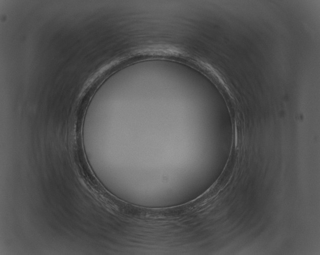 X0000081580531200701151003