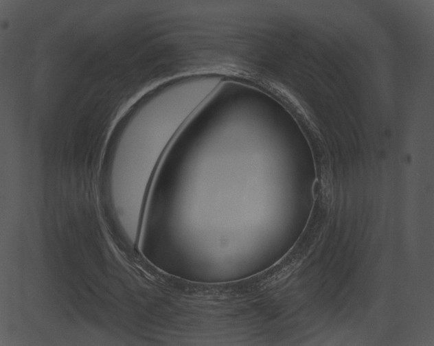 X0000081580532200701151003