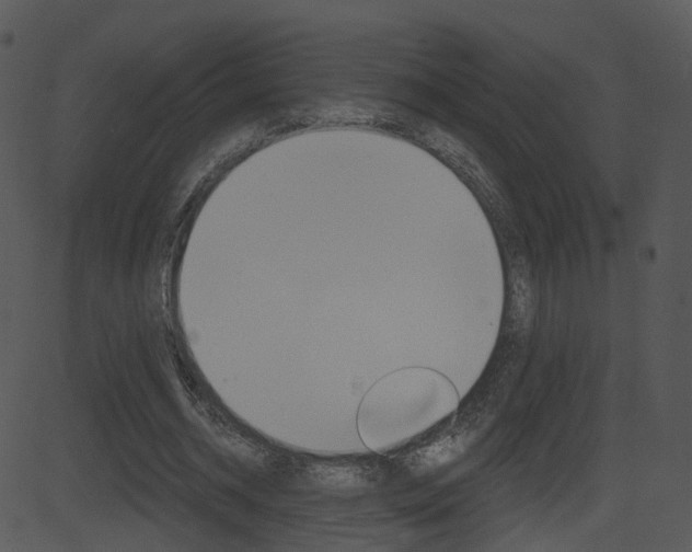 X0000081580534200701151003