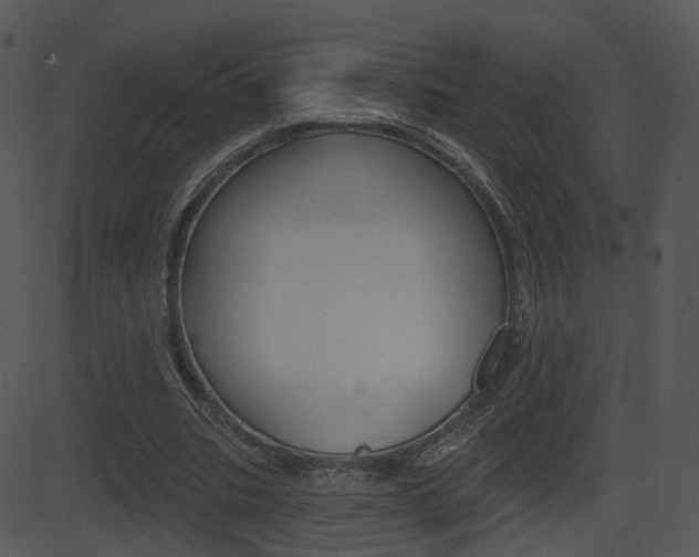 X0000081580535200701151003