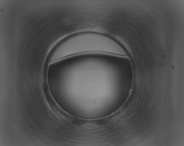 X0000081580536200701151003