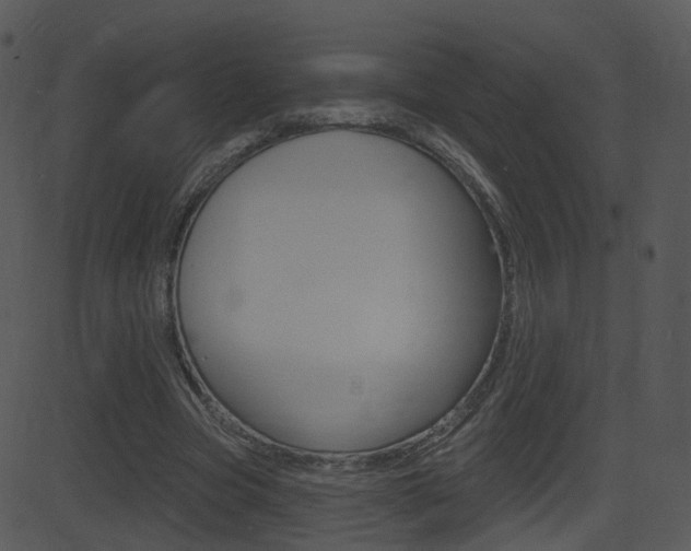 X0000081580537200701151003