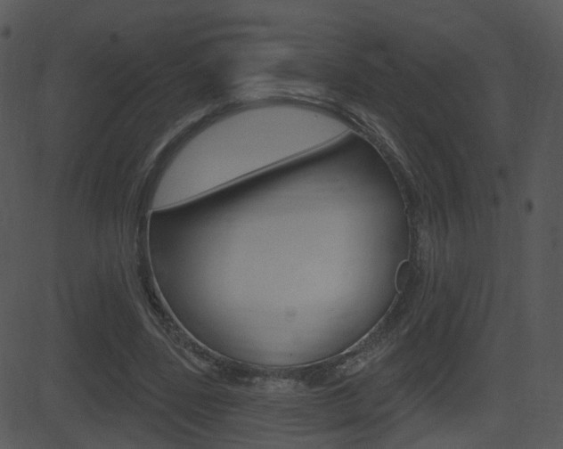 X0000081580539200701151003