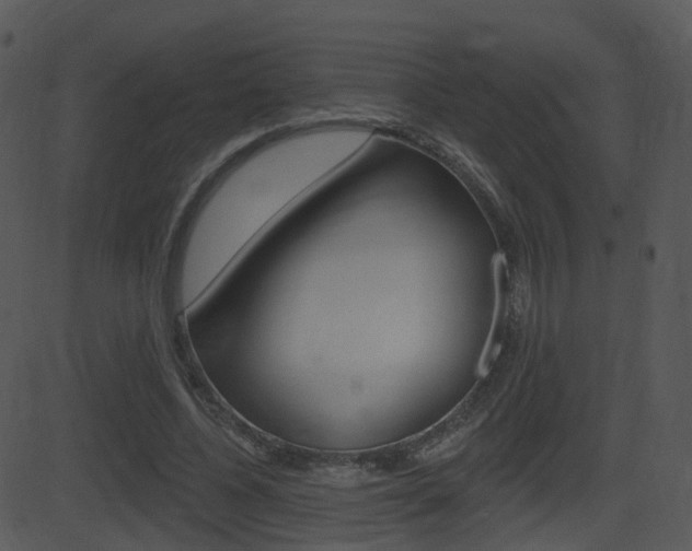 X0000081580540200701151003