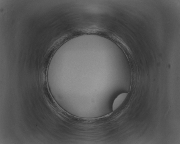X0000081580541200701151003