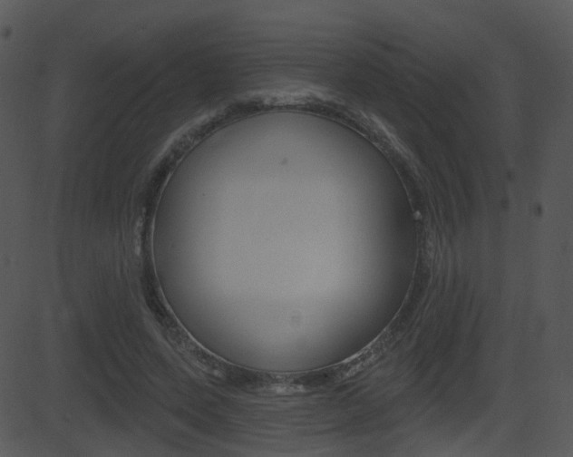X0000081580543200701151003