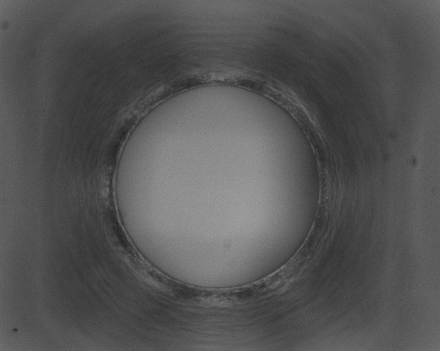 X0000081580545200701151003