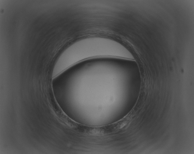 X0000081580546200701151003