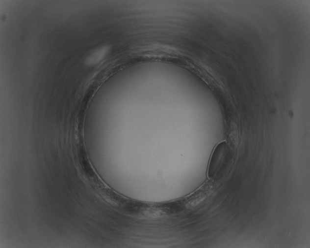 X0000081580547200701151003