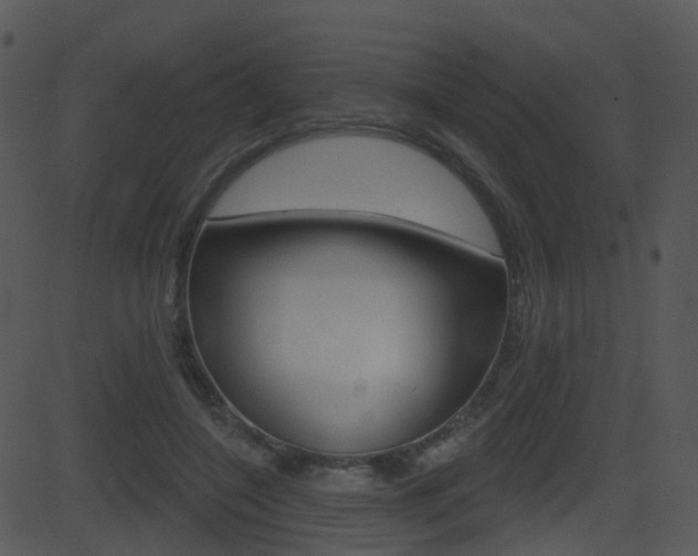 X0000081580548200701151003