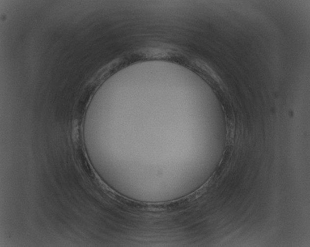 X0000081580549200701151003