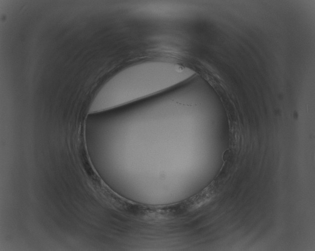 X0000081580550200701151003