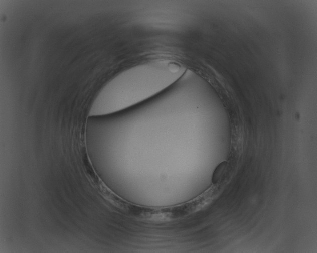 X0000081580553200701151003