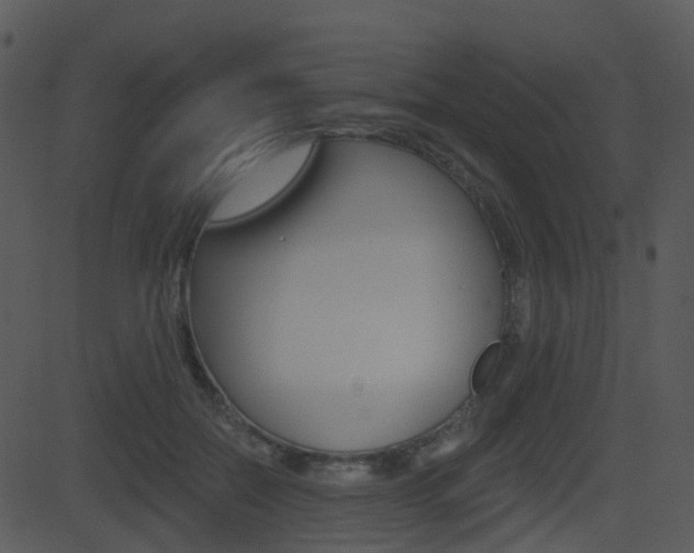 X0000081580554200701151003