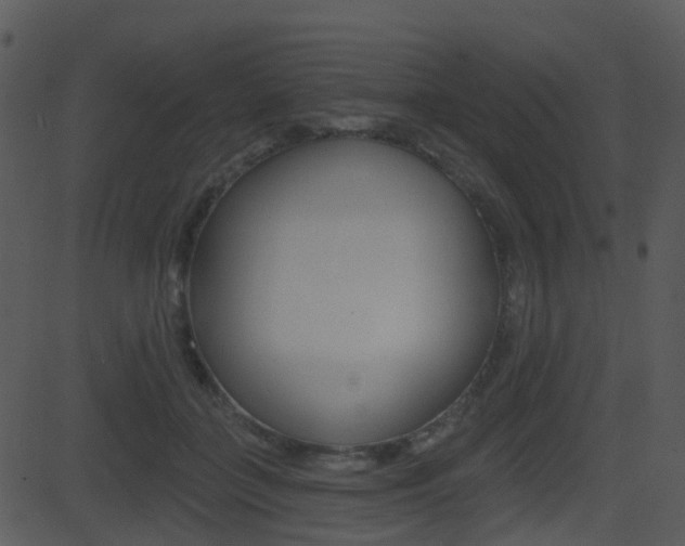 X0000081580555200701151003