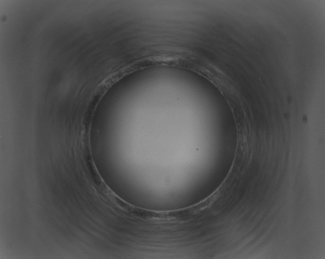 X0000081580556200701151003