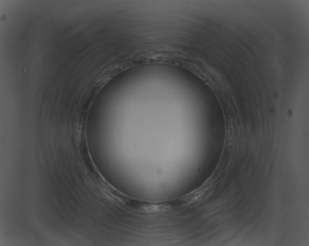 X0000081580558200701151003