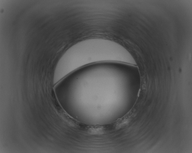 X0000081580560200701151003