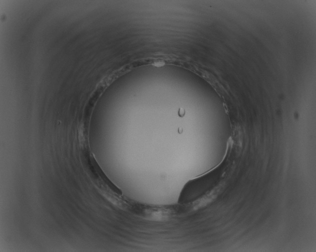 X0000081580564200701151003