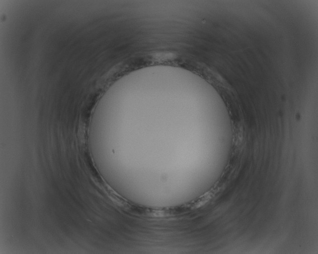 X0000081580565200701151003