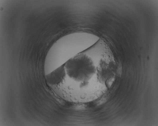 X0000081580569200701151003