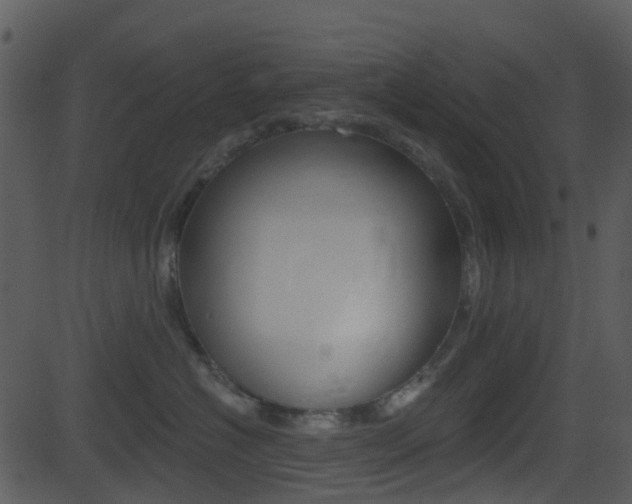 X0000081580574200701151004