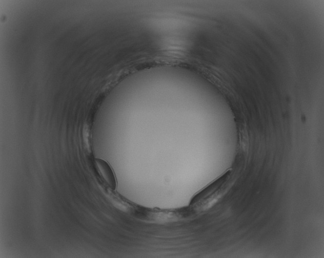 X0000081580575200701151004