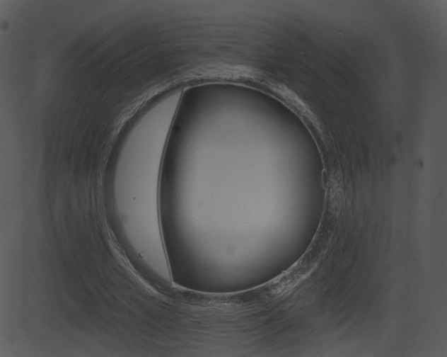 X0000081580581200701151003